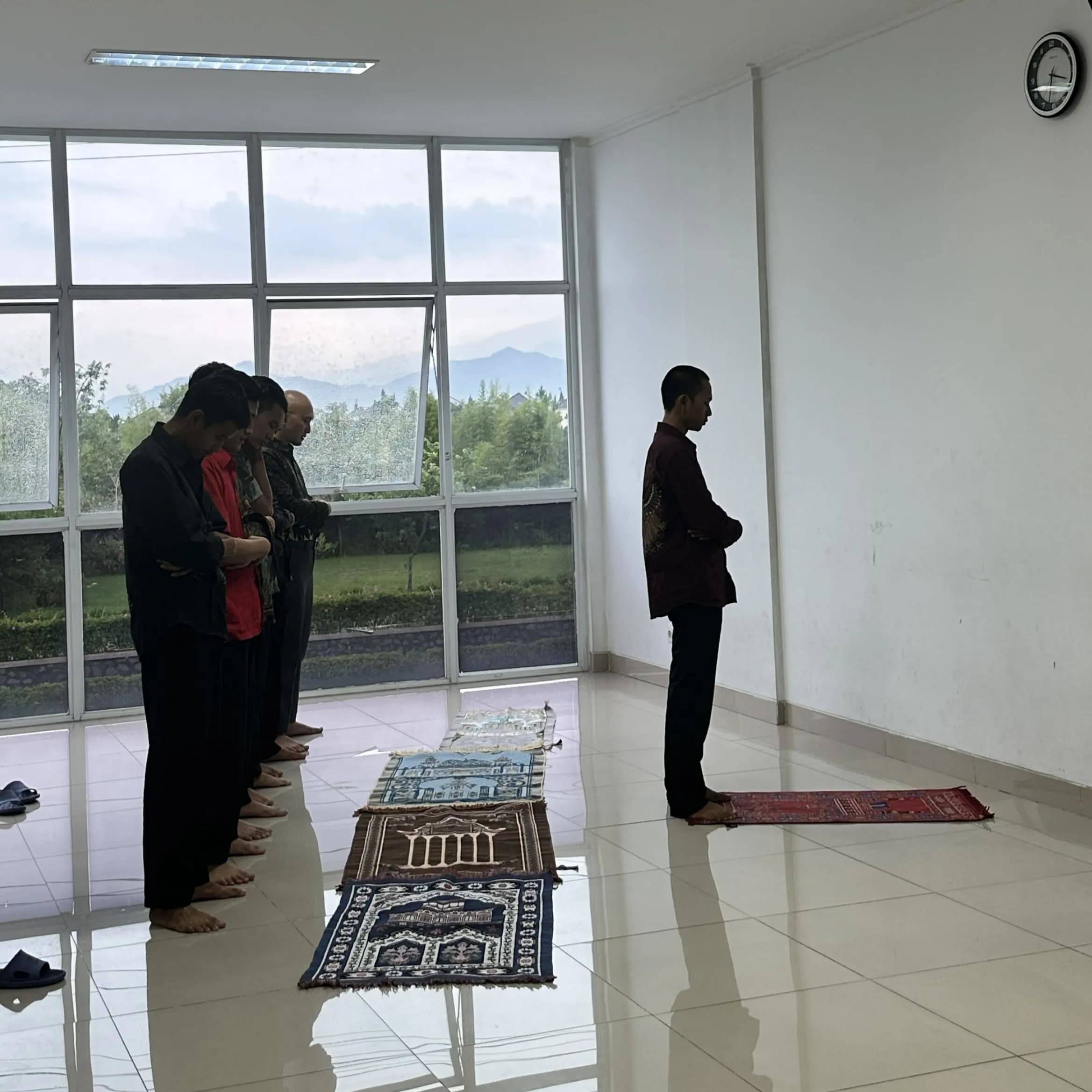 Galeri 8
